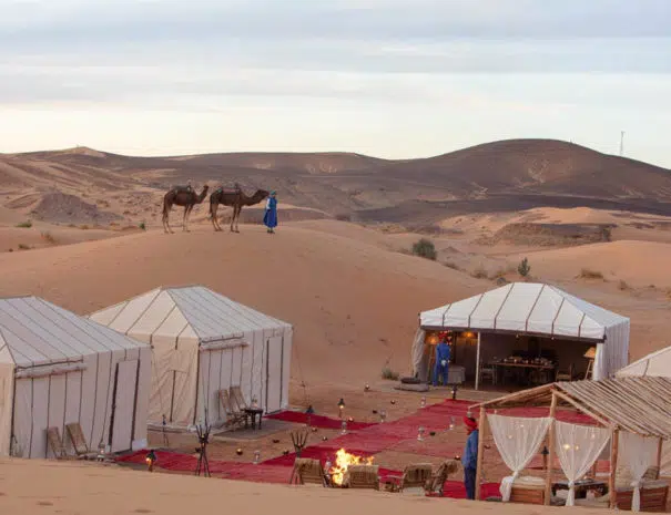 Desert Camp tenet