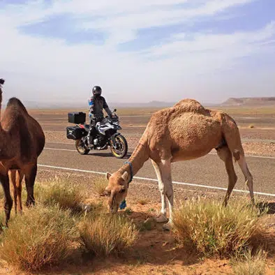 3-day desert tour from Marrakech to Fes