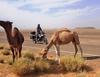 Adventure-Morocco Motorcycle Tour