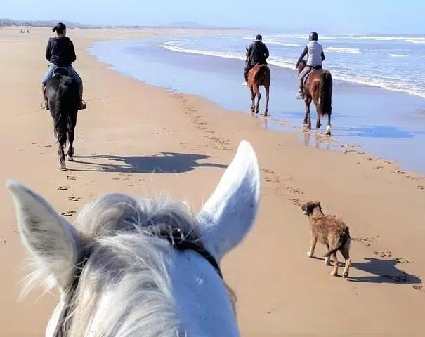 Morocco Horse Riding Adventures